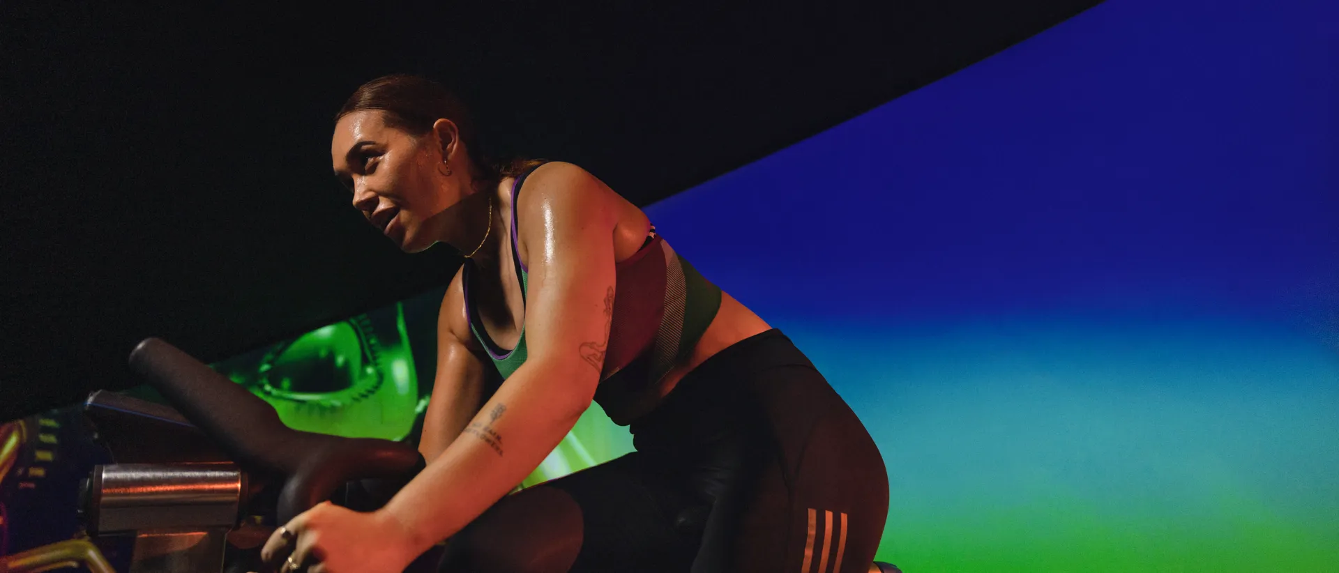 Digital Screens NEW PROGRAM RELEASE THE TRIP IMAGE 01