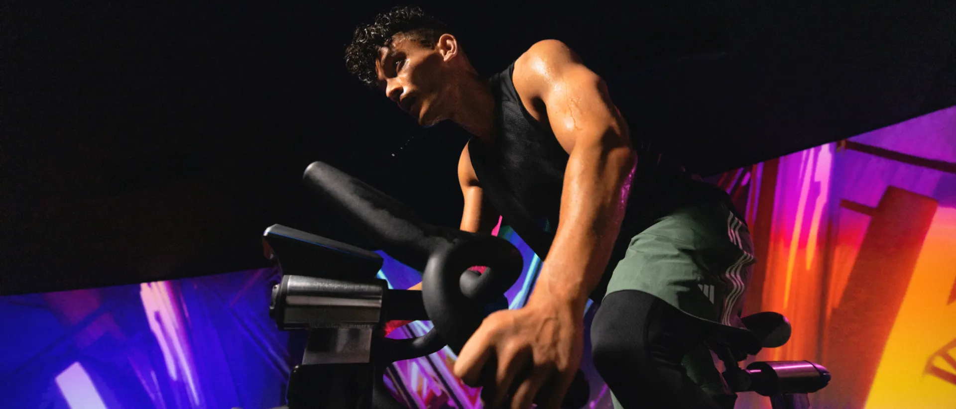 Digital Screens NEW PROGRAM RELEASE THE TRIP IMAGE