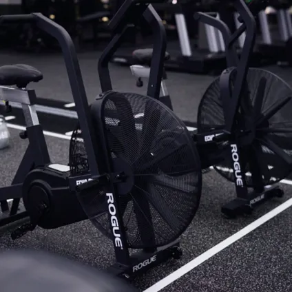 FF Bedford Functional (1)