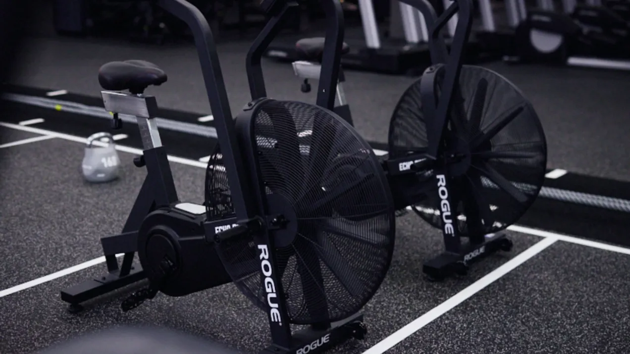 FF Bedford Functional (1)