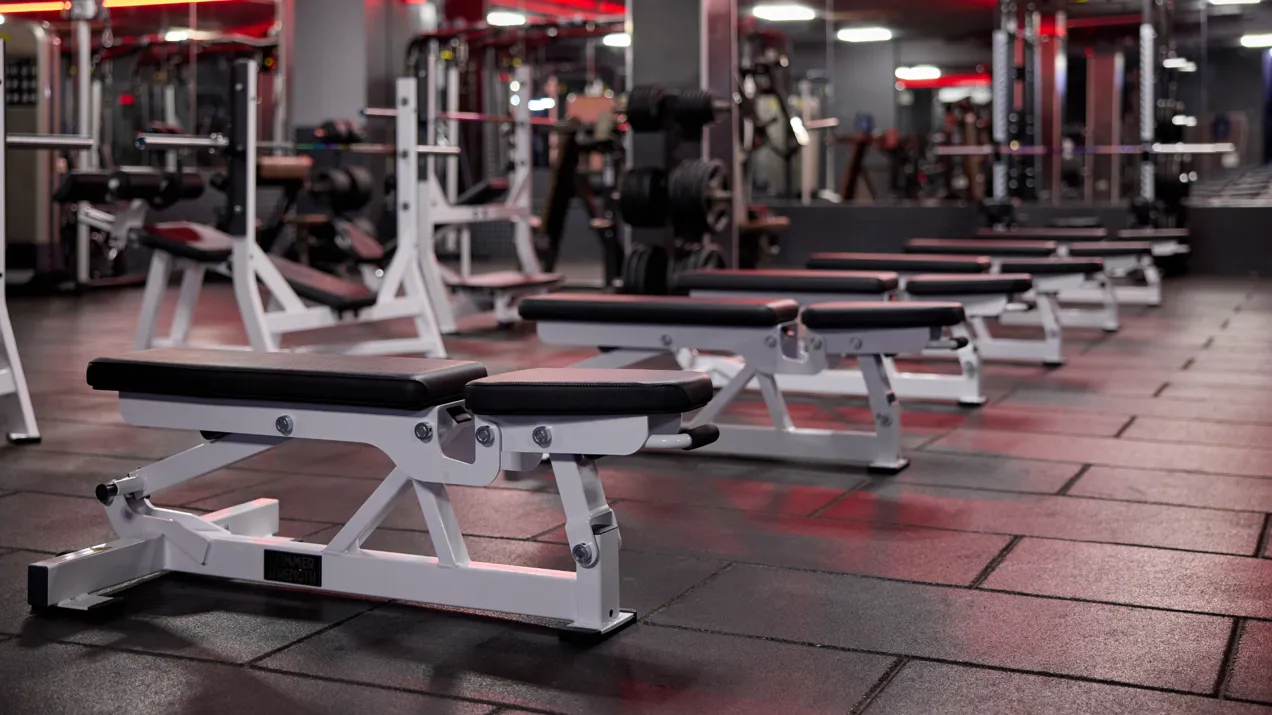 Untitled Design 2025 09 04T151315.396